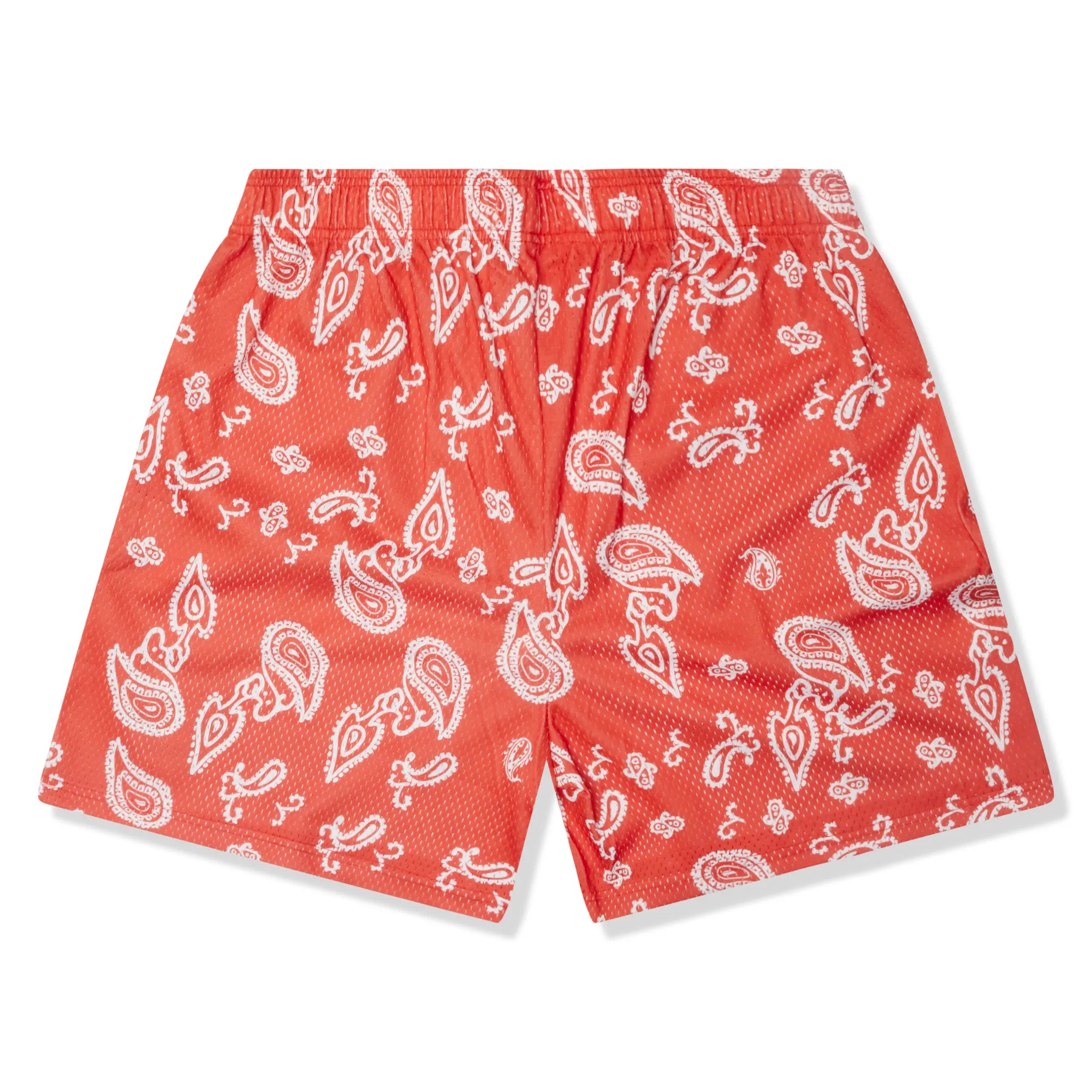 Back View of Eric Emanuel EE Basic Red Paisley Shorts